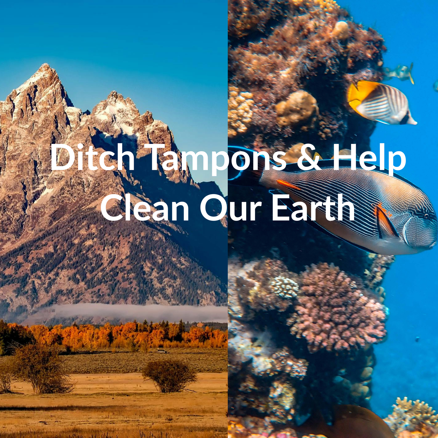 MENSTRUAL CUPS & DISCS